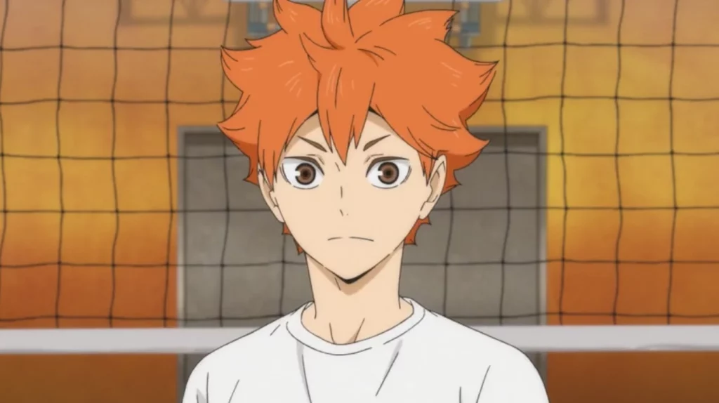 Shoyo Hinata (Haikyuu!!)